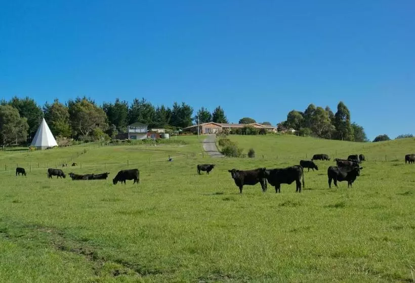 Sherwood View Accommodation