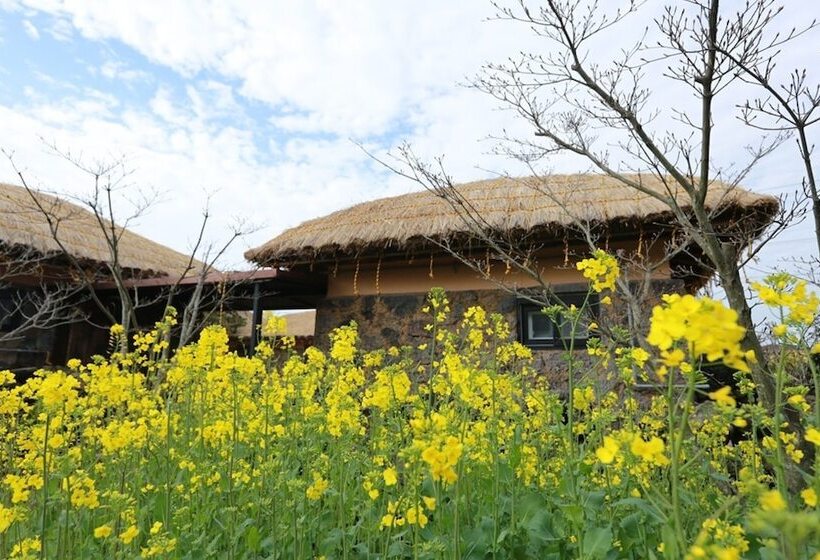 Hotel Seogwipo Chogain Inn Guest House