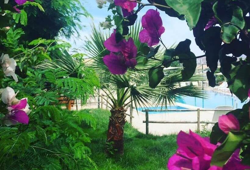 فندق Bitez Marina