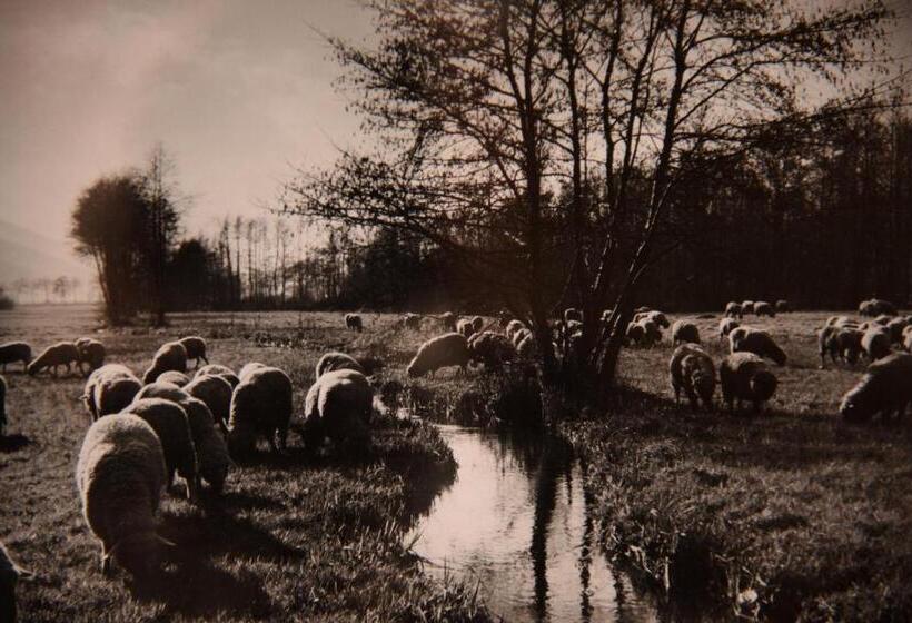 בית מלון כפרי Deybach