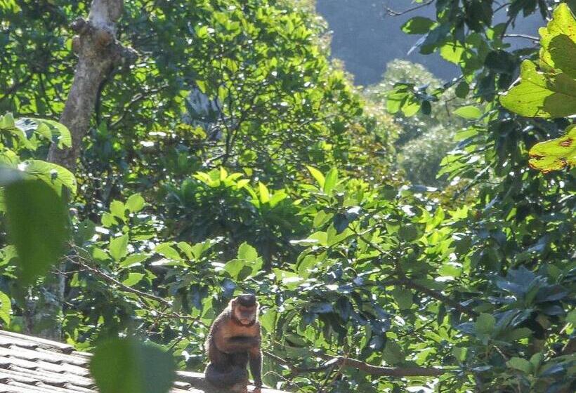 هتل Les Jardins De Rio Boutique