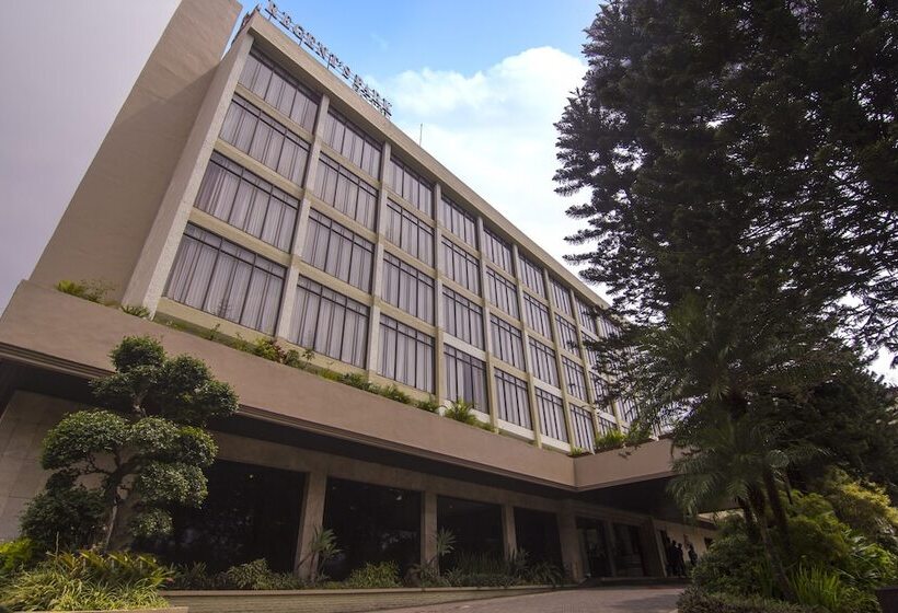 ホテル Regent S Park