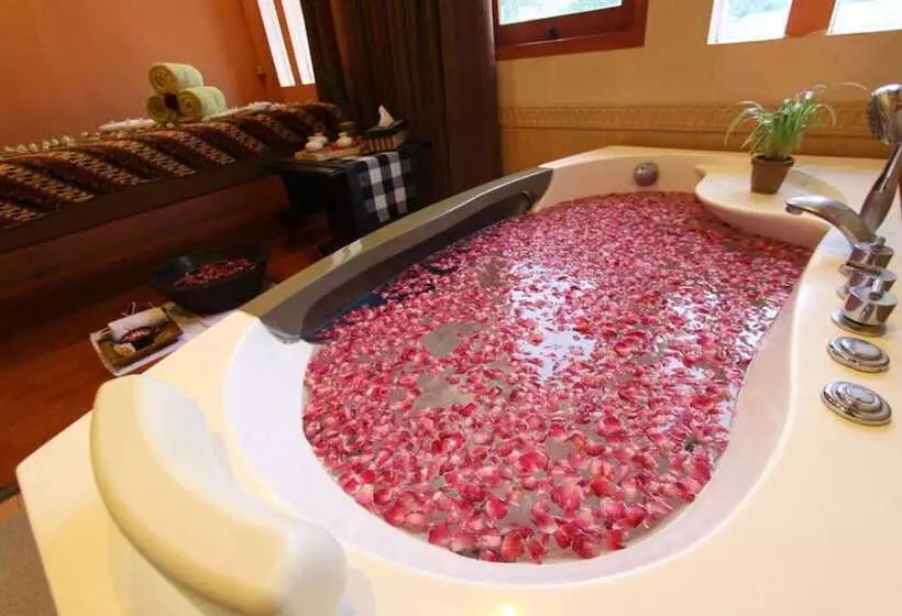 בית מלון כפרי Regent S Park