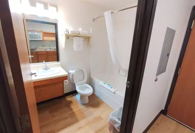 Hotel Woodspring Suites Asheville Biltmore West