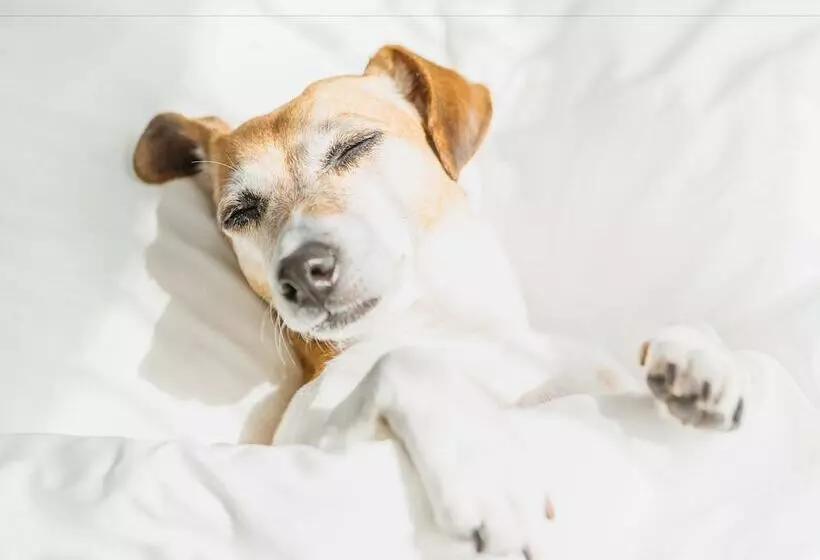 Hotel Woodspring Suites Asheville Biltmore West