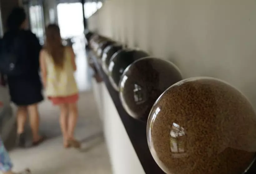 Отель Xandari Harbour Fort Kochi