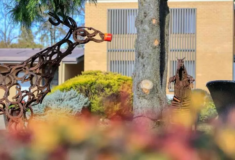 汽车旅馆 Hamilton Hume Motor Inn