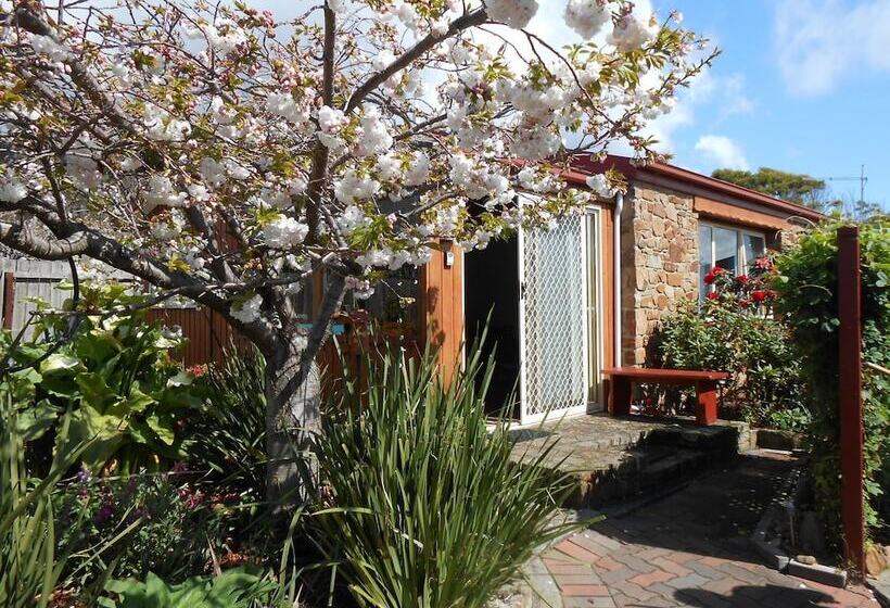 Tidelines Of Bicheno