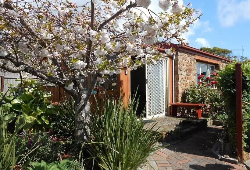 Tidelines Of Bicheno