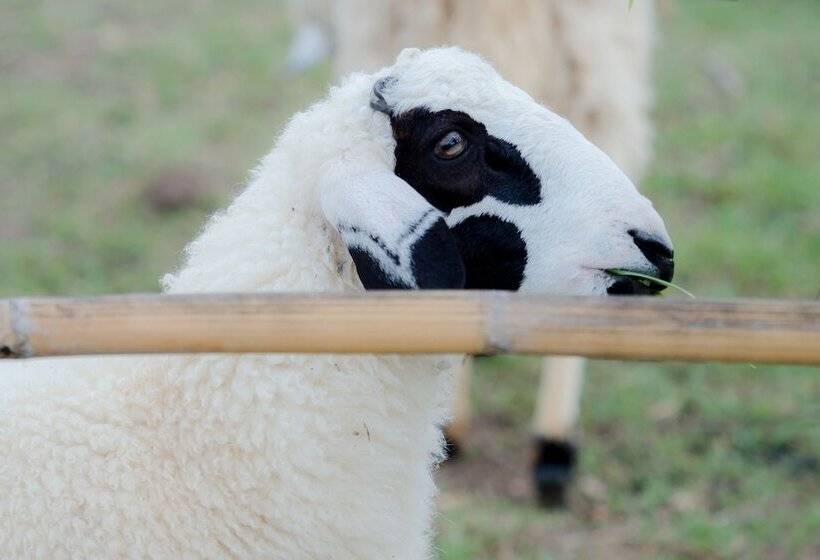 فندق A Star Phulare Valley