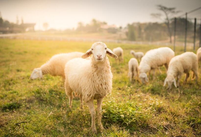 فندق A Star Phulare Valley