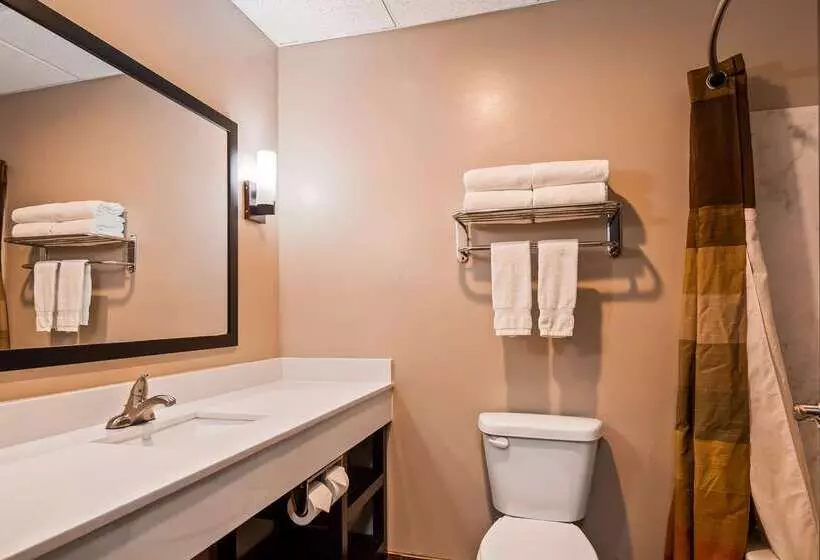 酒店 Best Western Plus Zion West