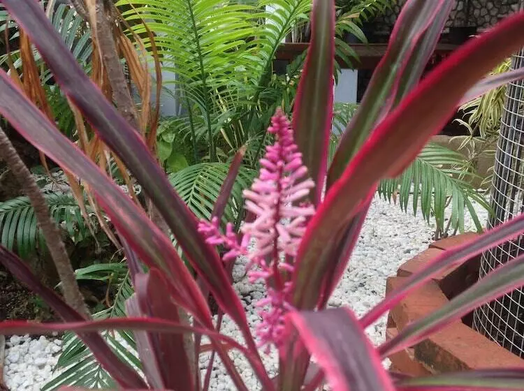 Hotel Sandy Point Village