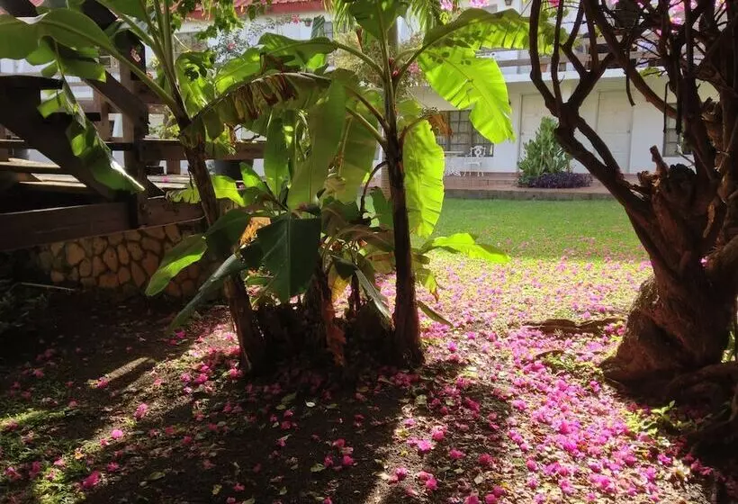 Hotel Sandy Point Village