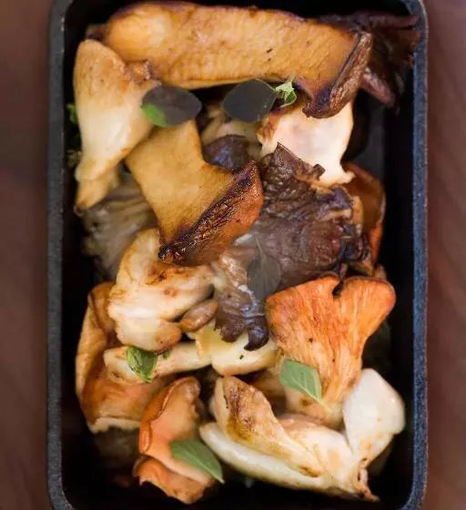 The Press Hotel, Autograph Collection