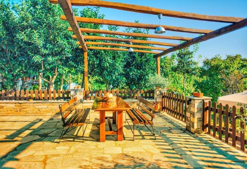 Pensione Tsagarada House