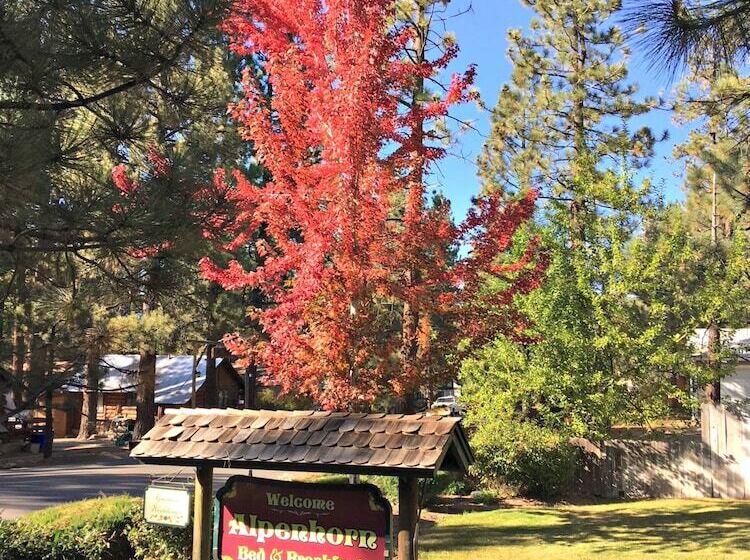 Alpenhorn Bed And Breakfast Inn