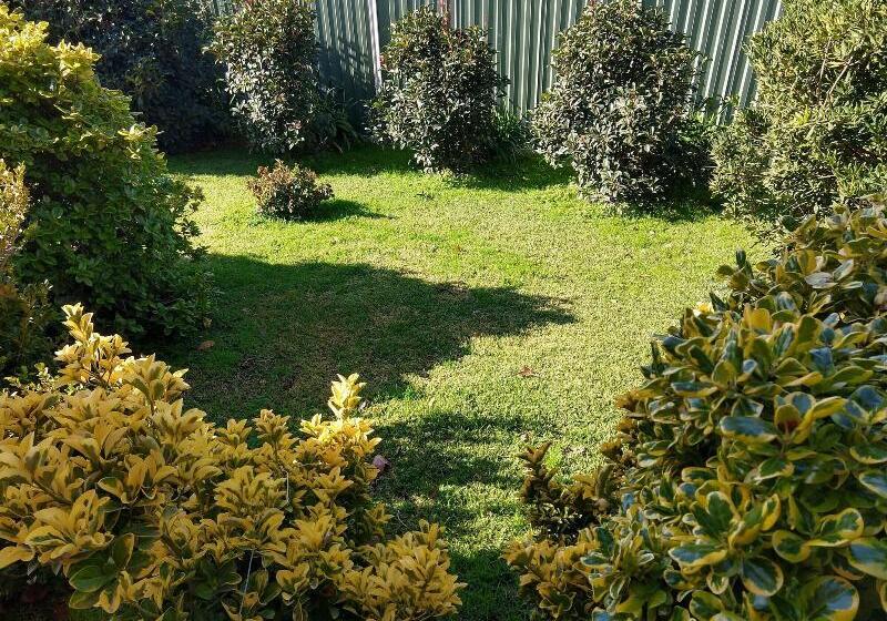 Goldrush Motel Young Cbd