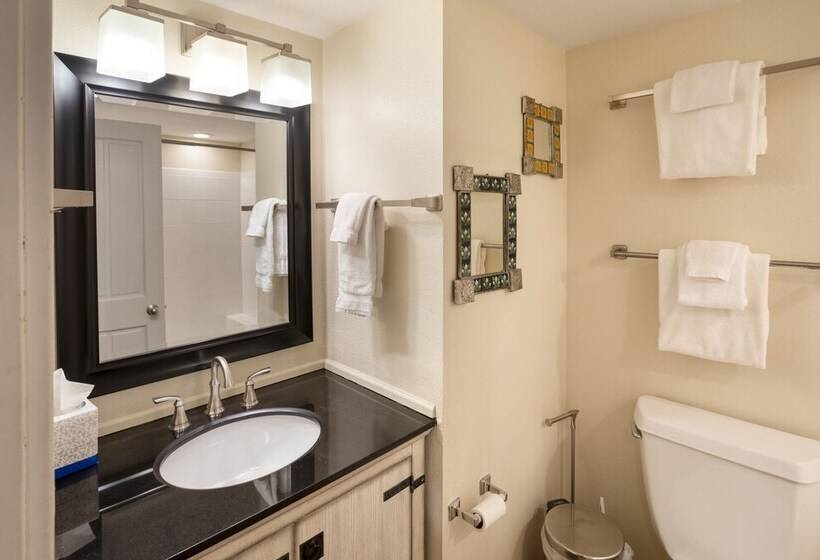 هتل Blue Mesa Lodge 23c By Avantstay Functional Ski In/ski Out Studio W/ Balcony In Great Location!