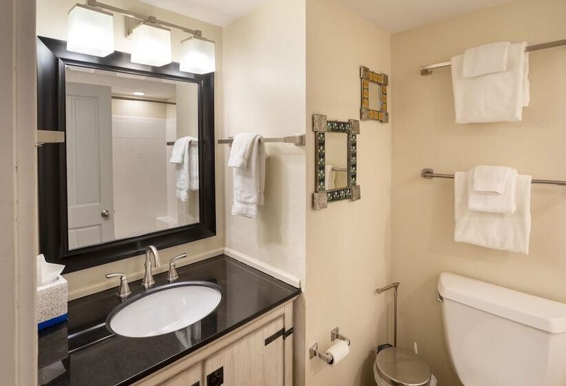 هتل Blue Mesa Lodge 23c By Avantstay Functional Ski In/ski Out Studio W/ Balcony In Great Location!