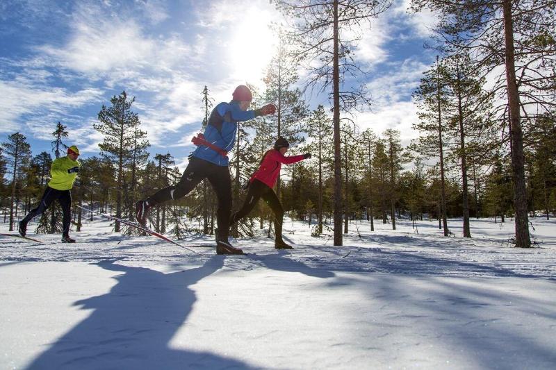 בית מלון כפרי First Camp Moraparken
