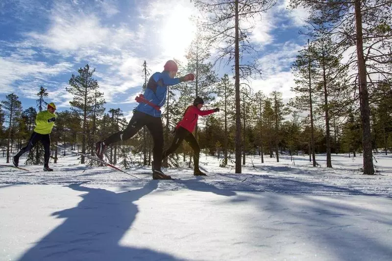 Hotelli First Camp Moraparken