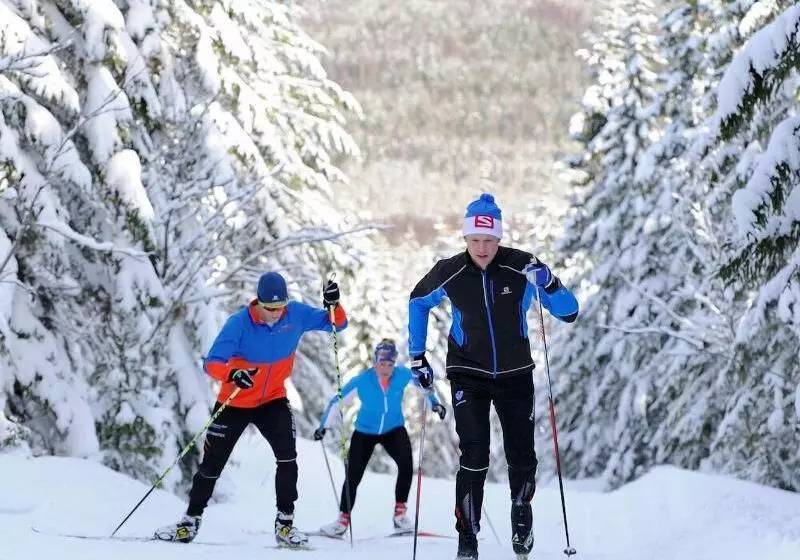 Hotelli First Camp Moraparken