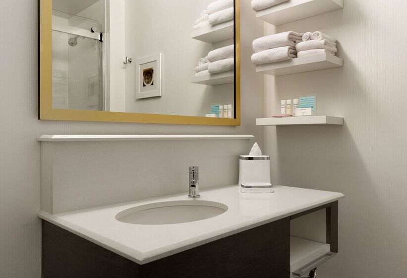 فندق Hampton Inn Chicago Downtown/n Loop/michigan Ave