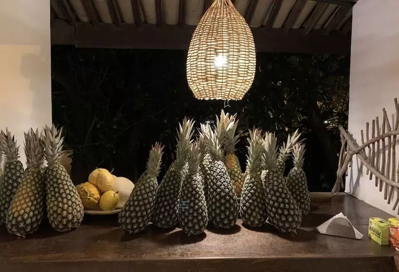 فندق Pousada Tartaruga Boutique