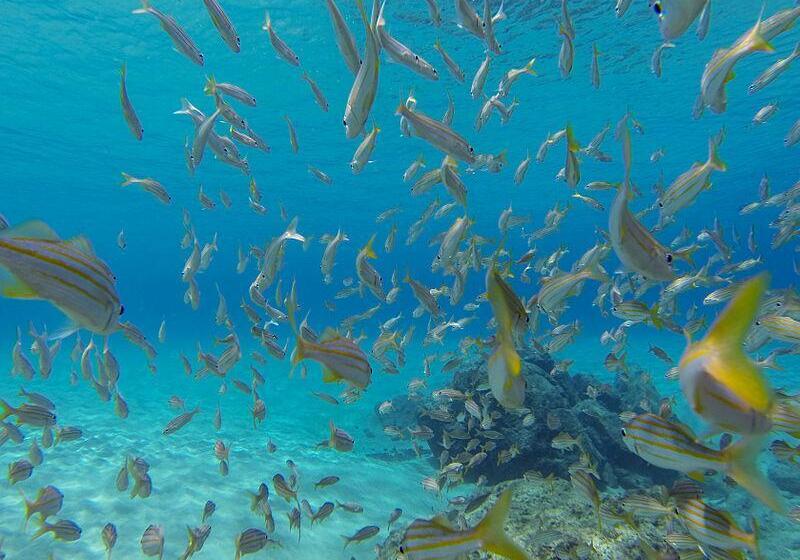 پانسیون Pousada Luna