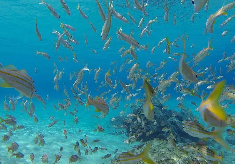 Pension Pousada Luna