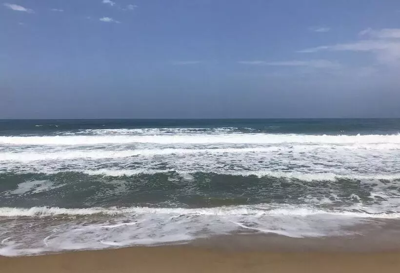 ペンション Pousada Massaguaçu