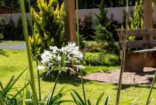 ペンション Pousada Quinta Do Vale