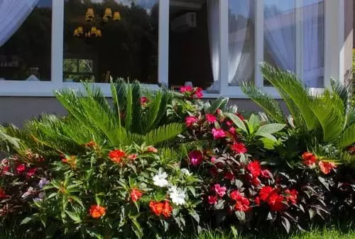 ペンション Pousada Quinta Do Vale