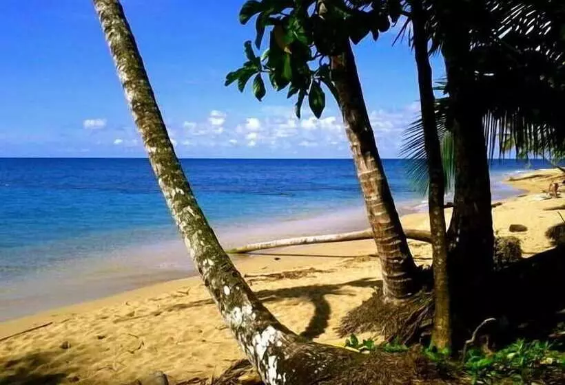 Physis Caribbean Bed & Breakfast