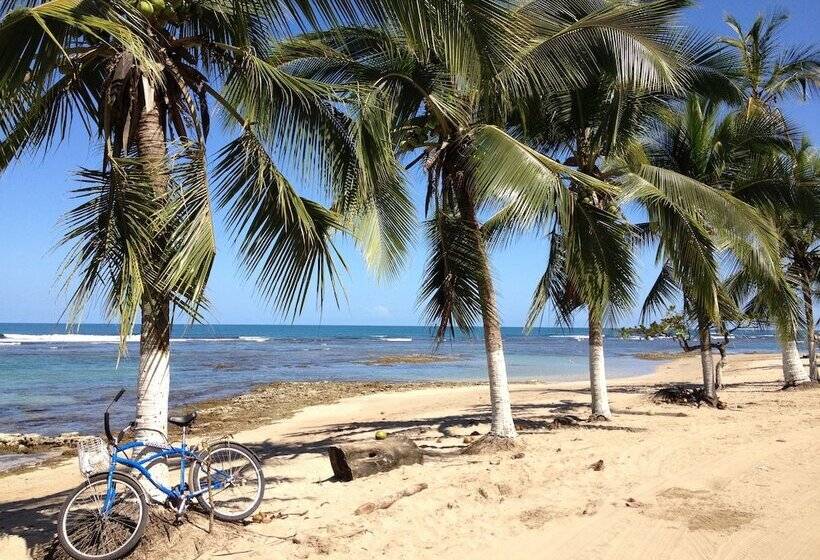 Physis Caribbean Bed & Breakfast