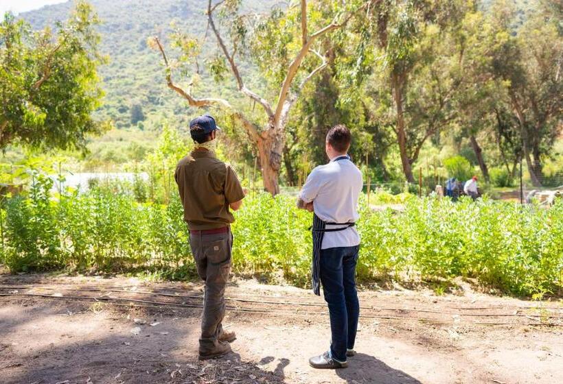 リゾートホテル The Ranch At Laguna Beach