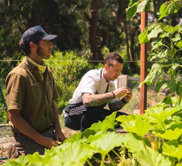 リゾートホテル The Ranch At Laguna Beach