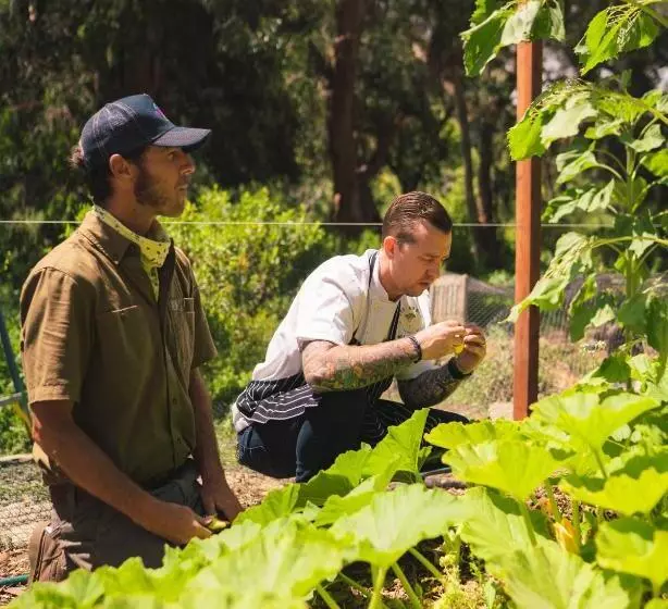 Курорт The Ranch At Laguna Beach