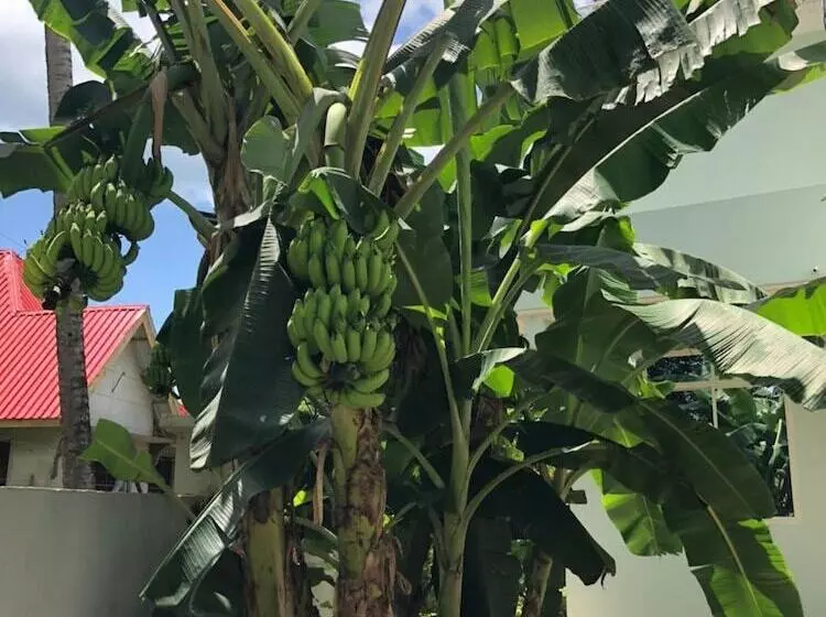 Hotelli Green Turaco