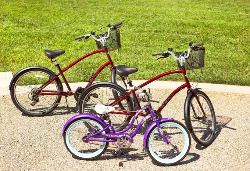 ホテル Aloft Raleigh