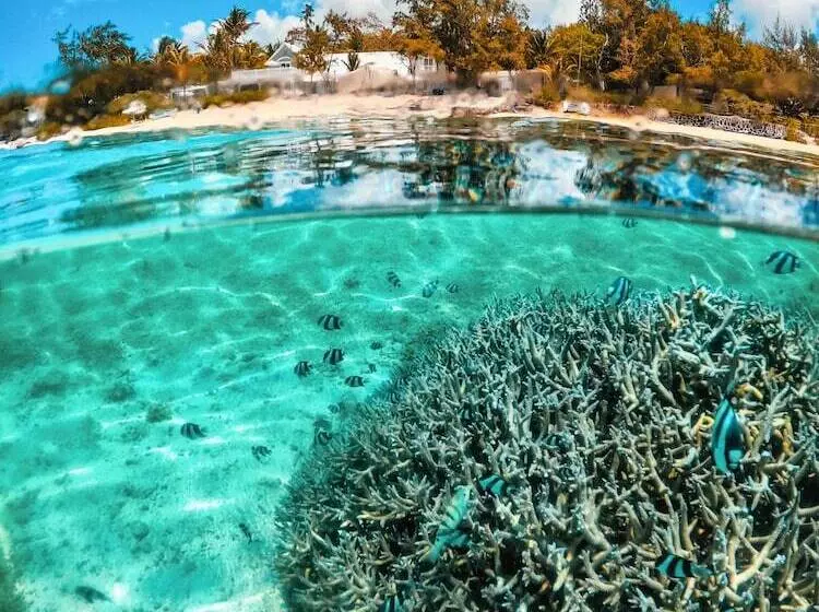 هتل Astroea Beach