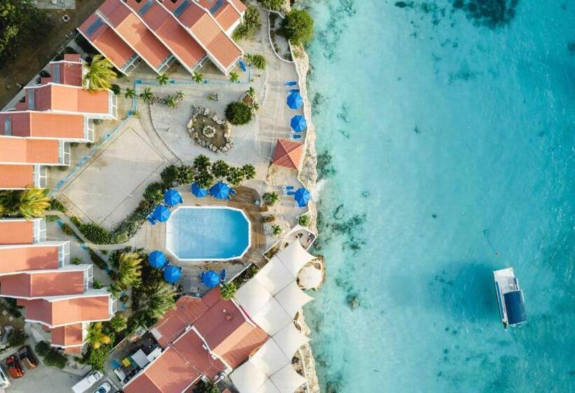 בית מלון כפרי Captain Don's Habitat