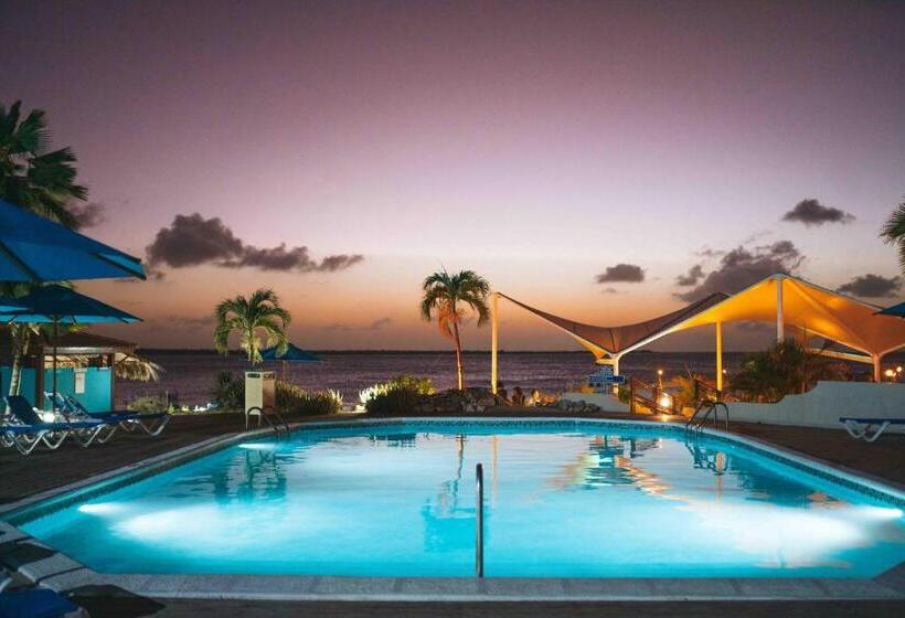 בית מלון כפרי Captain Don's Habitat