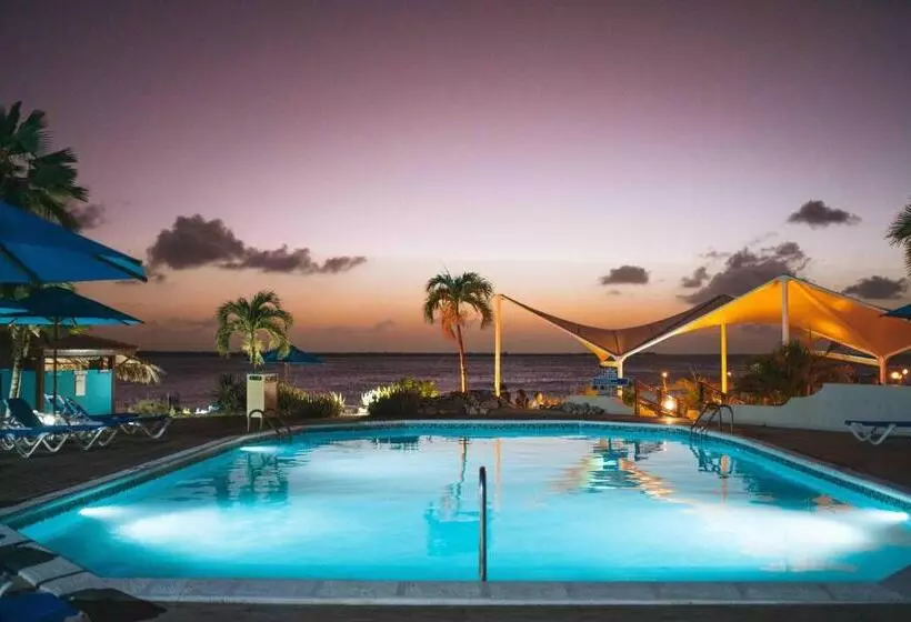 هتل Captain Don's Habitat