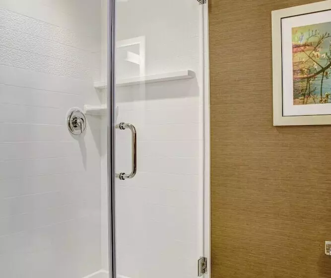 ホテル Fairfield Inn & Suites By Marriott Rochester Mayo Clinic Area/saint Marys