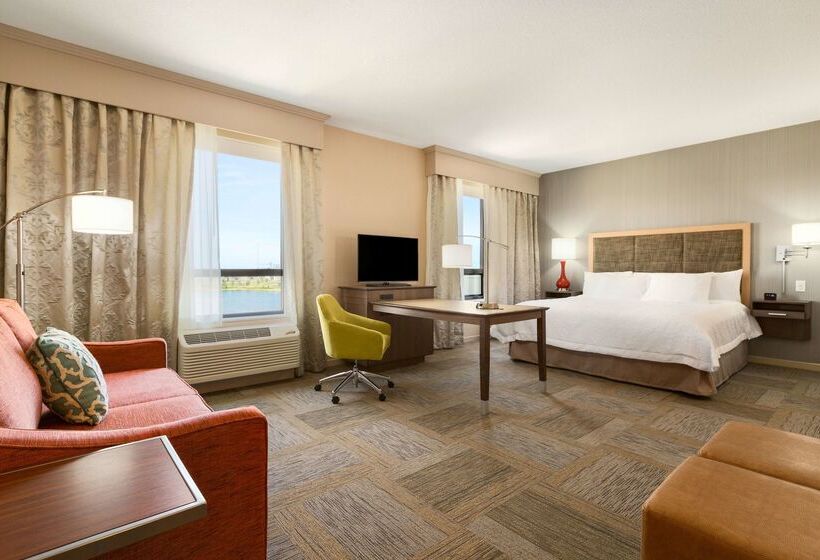 Hotel Hampton Inn By Hilton Edmonton/sherwood Park