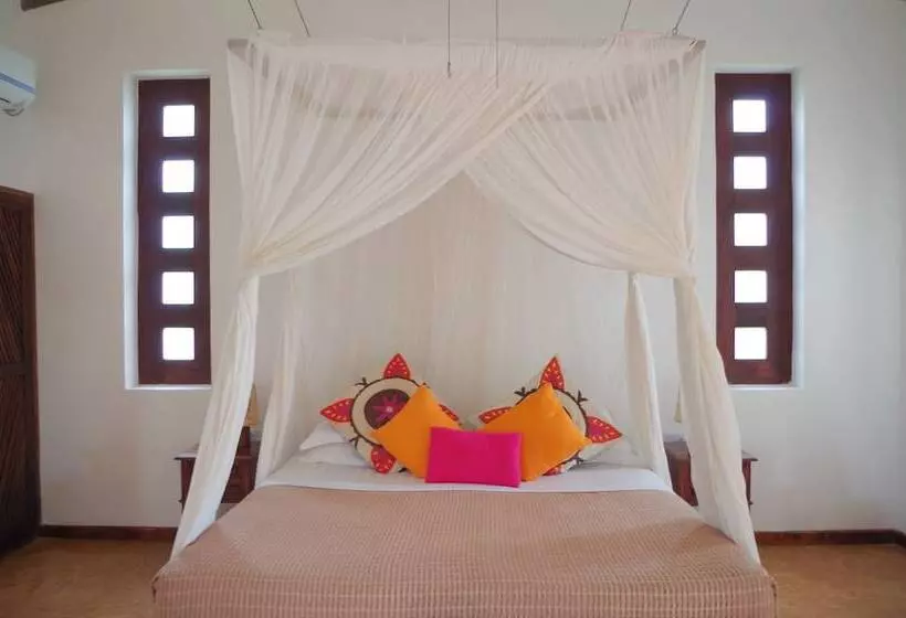 Hotel Kasha Boutique