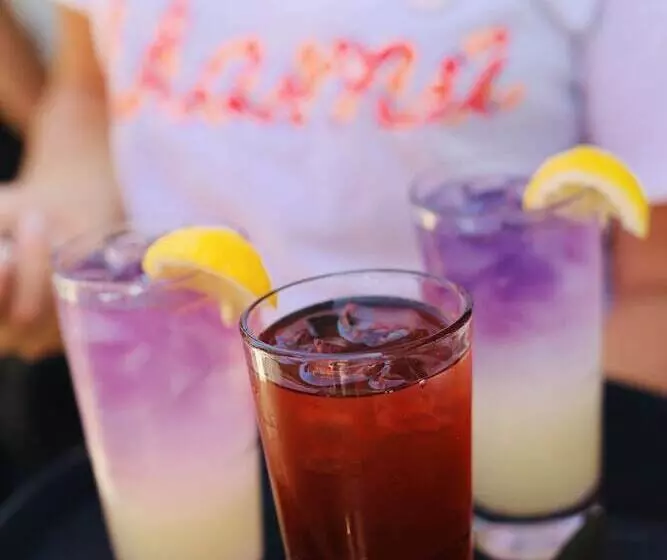 ホテル Mama Shelter La Hollywood