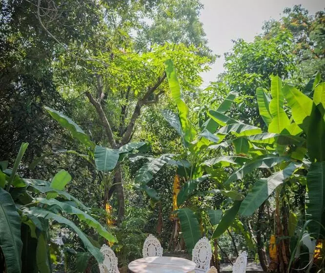 Wildflower Villas   All Villa Hotel, Family Run